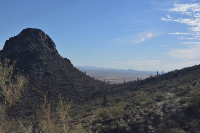 the view from the top of the Calloway Trail